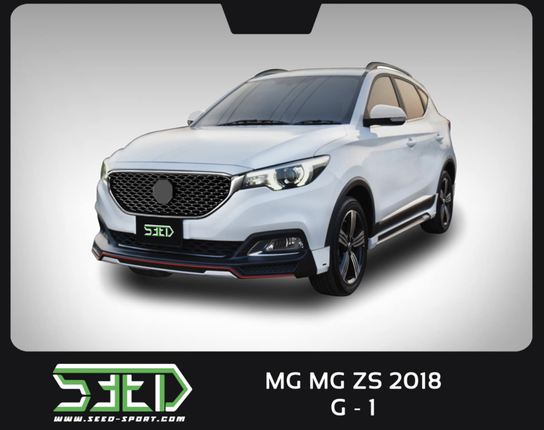 MG ZS2018 G-1