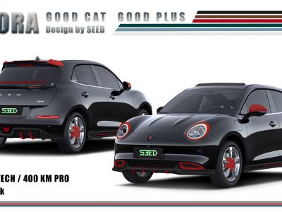 ชุดแต่ง Good Cat Good Plus โป่งล้อ พร้อม Accessories