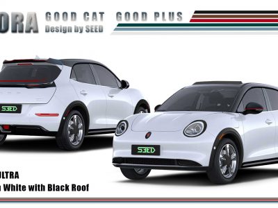 ชุดแต่ง Good Cat Good Plus โป่งล้อ