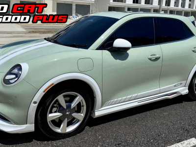 ORA Good Cat Pistachio Green สีเขียว