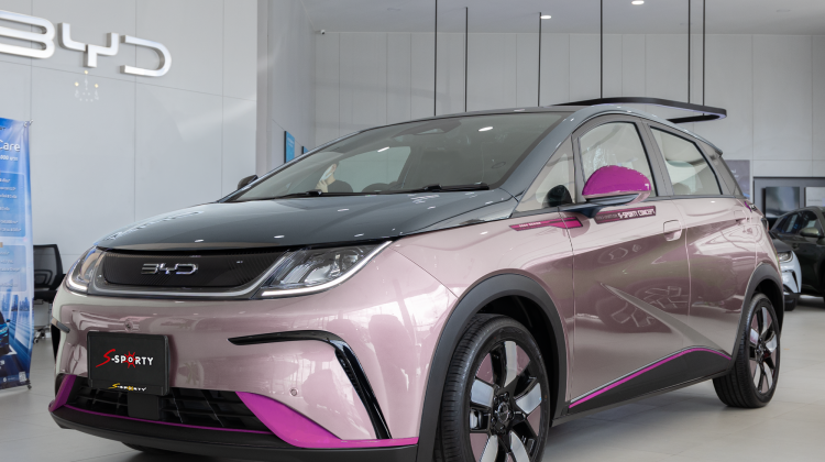 BYD Dolphin Freedom  Coral Pink