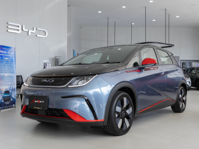 BYD Dolphin Freedom  Magic Grey